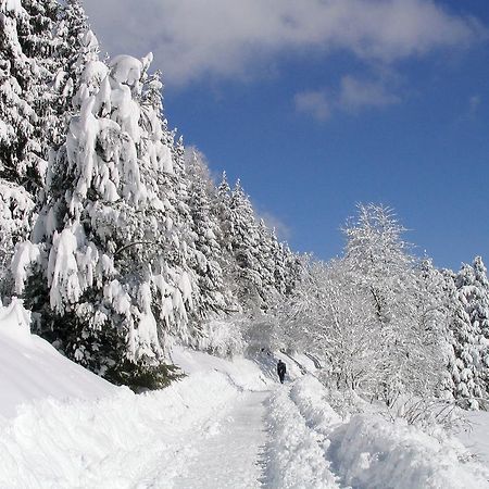 טיטיזי-נוישטאדט Ferienwohnung Am Eisweiher מראה חיצוני תמונה