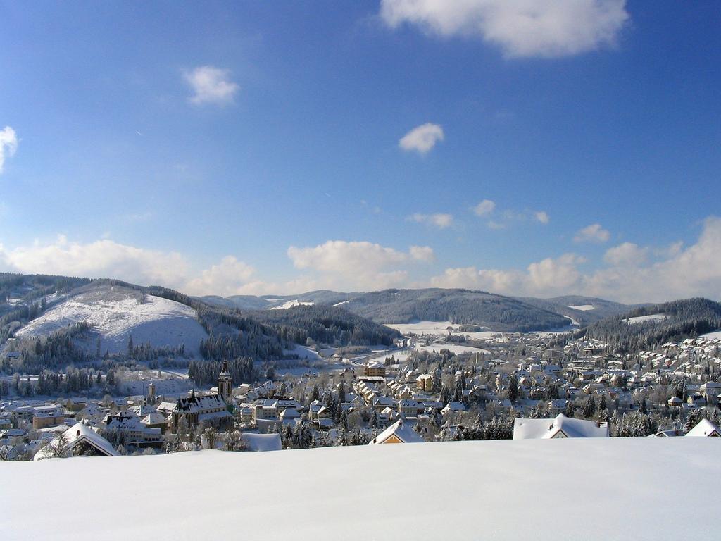 טיטיזי-נוישטאדט Ferienwohnung Am Eisweiher מראה חיצוני תמונה